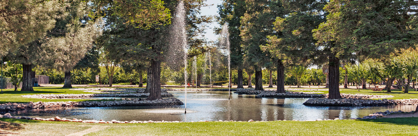 pond with fountains in park